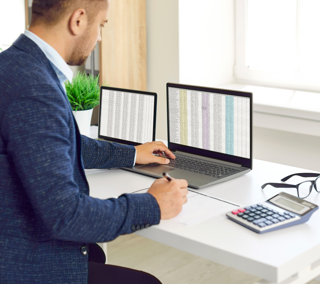 Auditor Practical Training